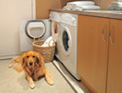 Dog and Dryer